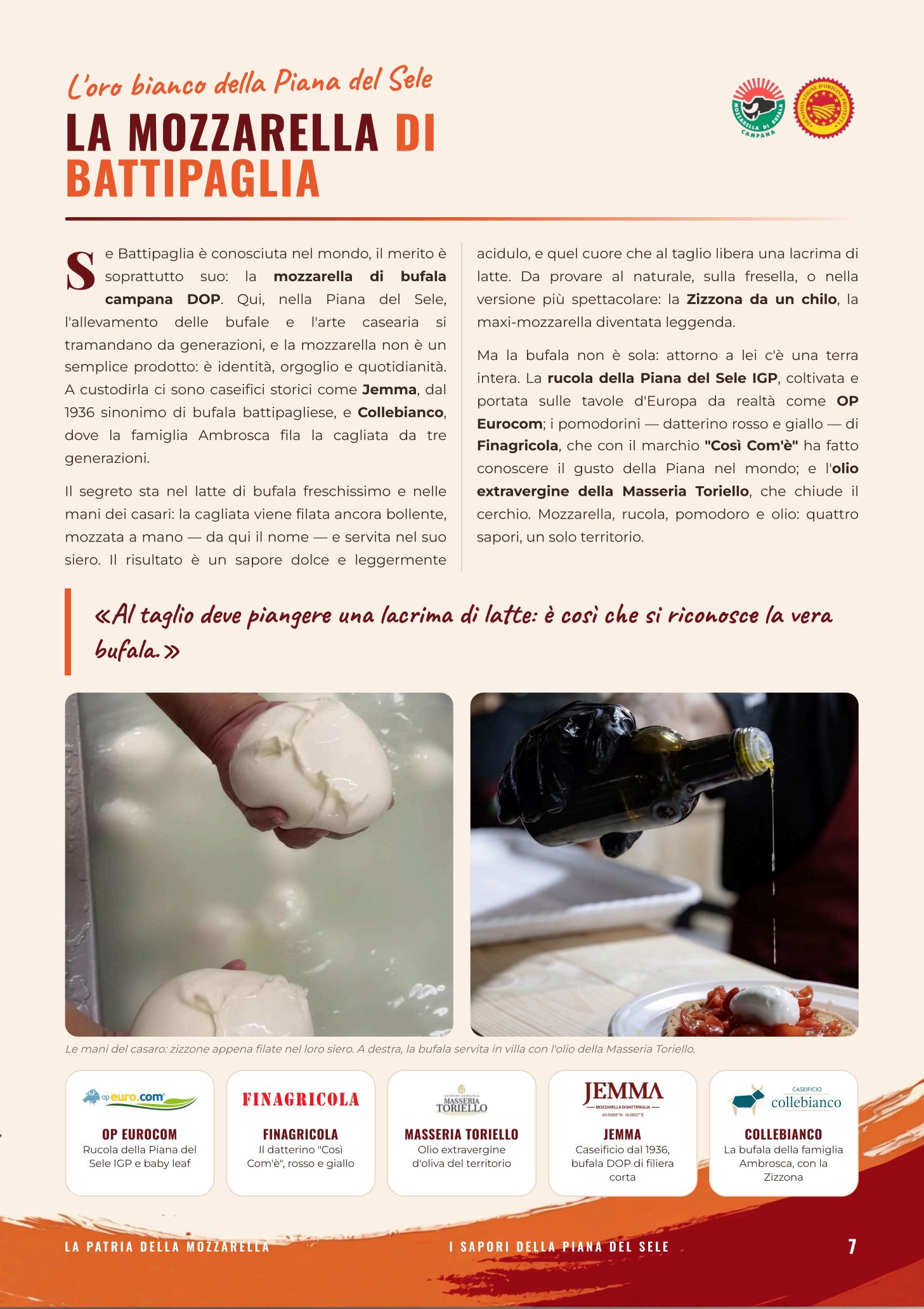 Pagina 7 — La Mozzarella di Battipaglia